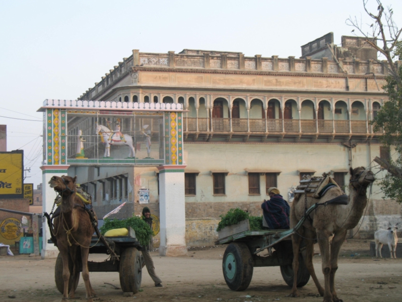 Nawalgarh, Rajasthan, India 