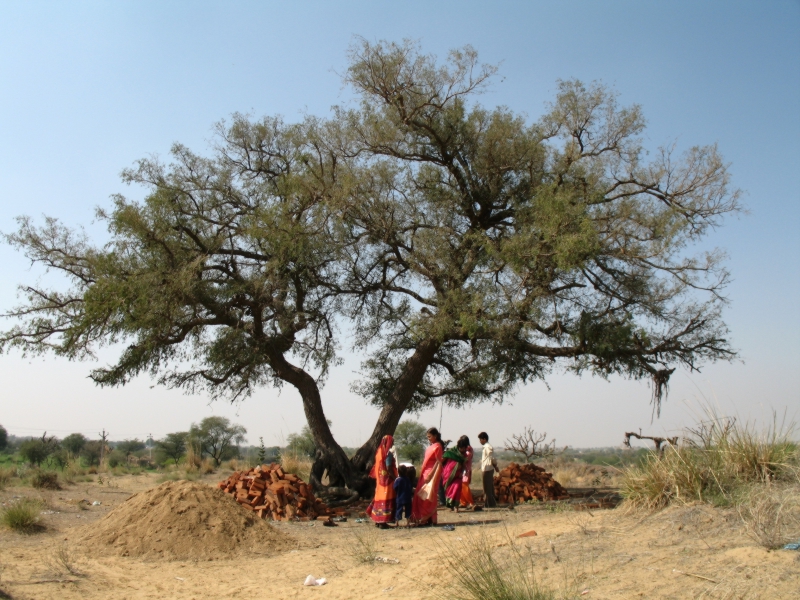 Family Temples and Shrines, Rajasthan, India