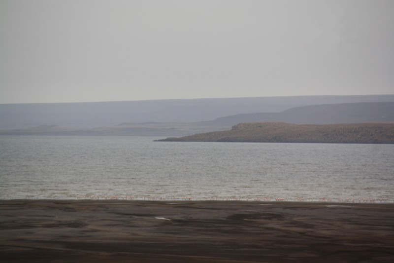 Lac Abbé, Djibouti