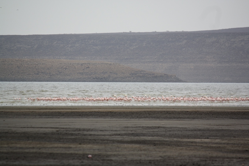  Lac Abbé, Djibouti
