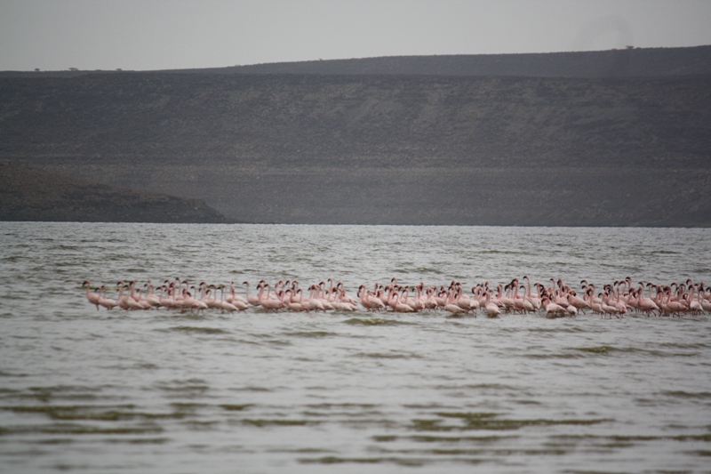  Lac Abbé, Djibouti