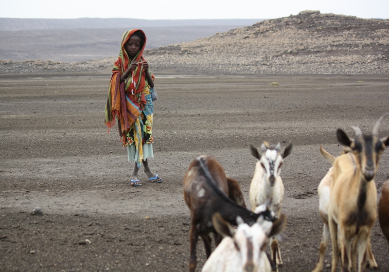  Lac Abbé, Djibouti