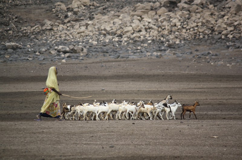  Lac Abbé, Djibouti