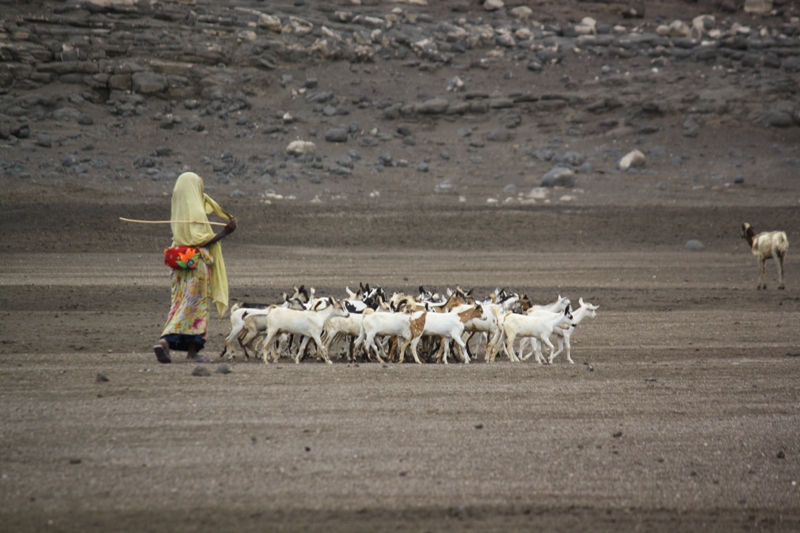  Lac Abbé, Djibouti