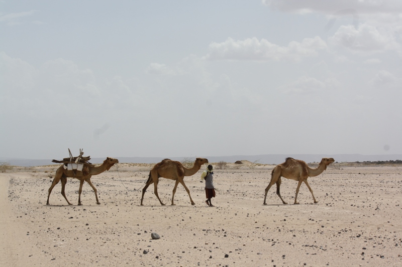 Djibouti