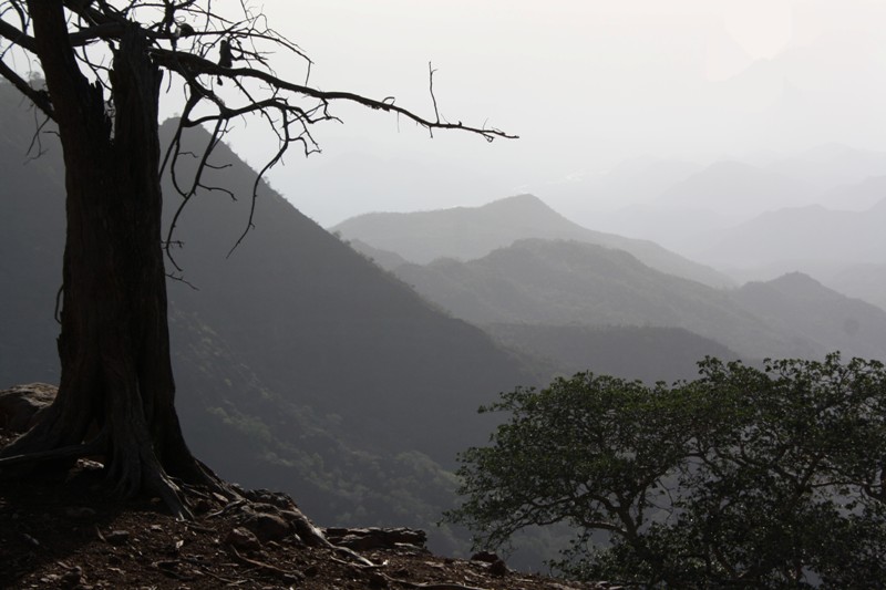 Goda Mountains, Djibouti, Horn of Africa