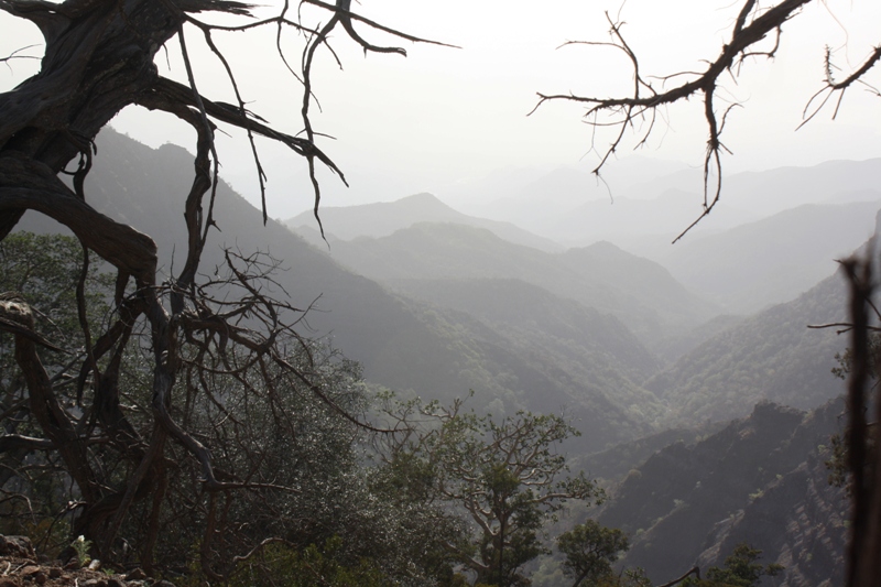 Goda Mountains, Djibouti, Horn of Africa