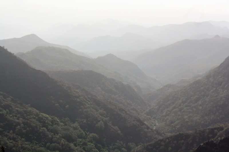 Goda Mountains, Djibouti, Horn of Africa