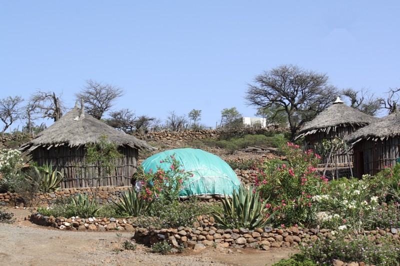 Goda Mountains, Djibouti, Horn of Africa