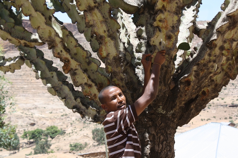 Tigray Region, Ethiopia