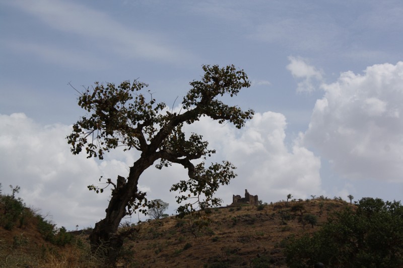 Guzara Castle, Gondar