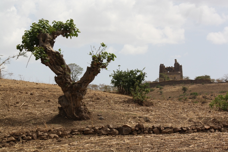 Guzara Castle Ruins