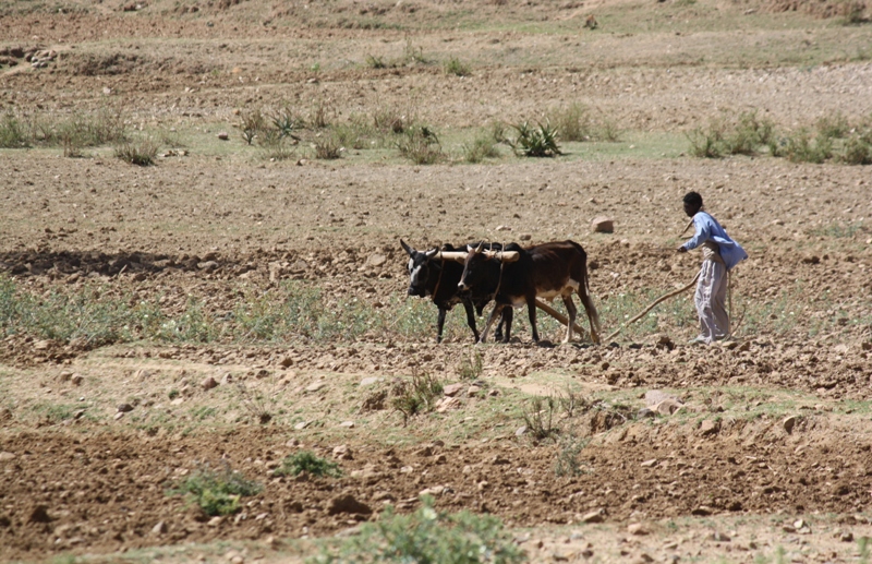 Northern Ethiopia