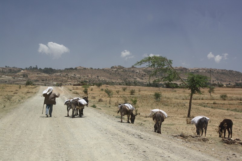 Northern Ethiopia