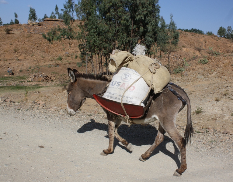 Northern Ethiopia