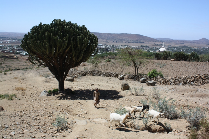 Northern Ethiopia