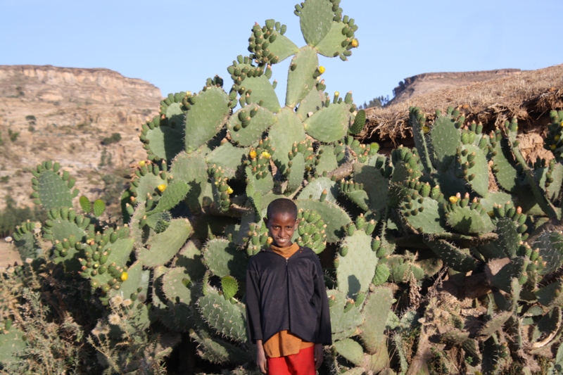 Northern Ethiopia