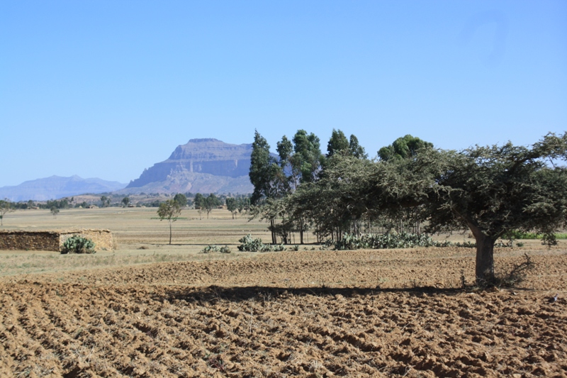 Northern Ethiopia