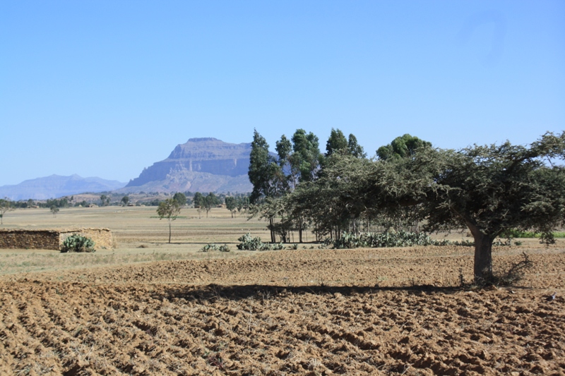 Northern Ethiopia