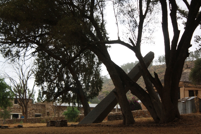 Stelae Field, Aksum, Ethiopia