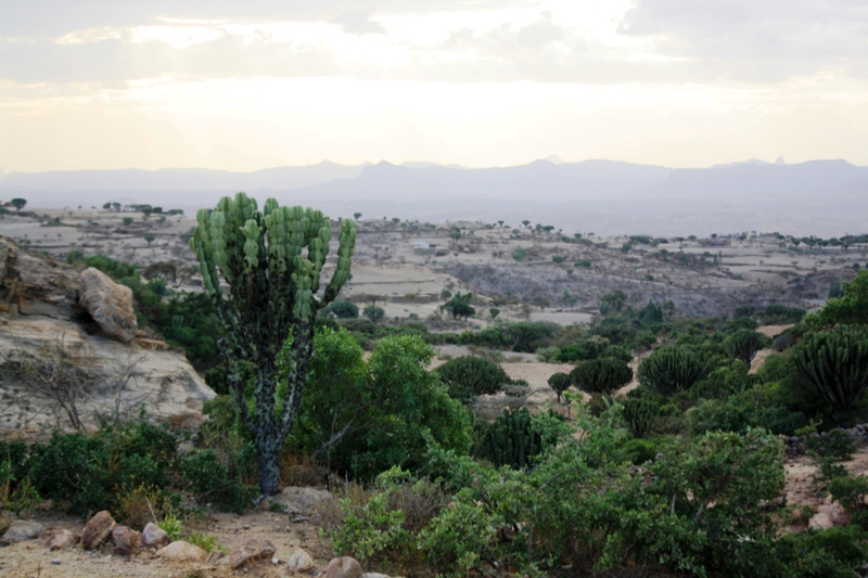 Tigray, Ethiopia