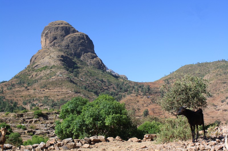 Tigray, Ethiopia 