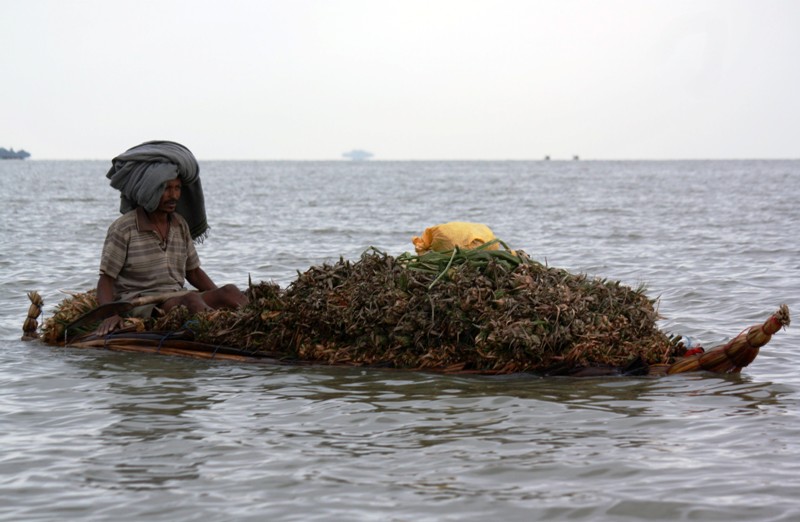 Lake Tana, Bahir Dar, Ethiopia