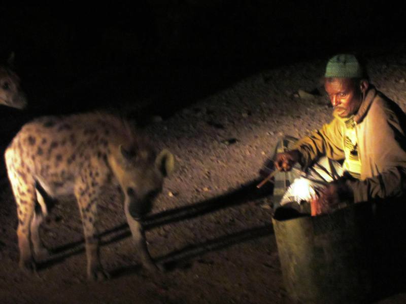 The Hyena Man, Harar, Ethiopia