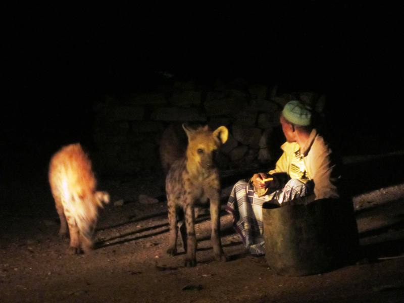 The Hyena Man, Harar, Ethiopia