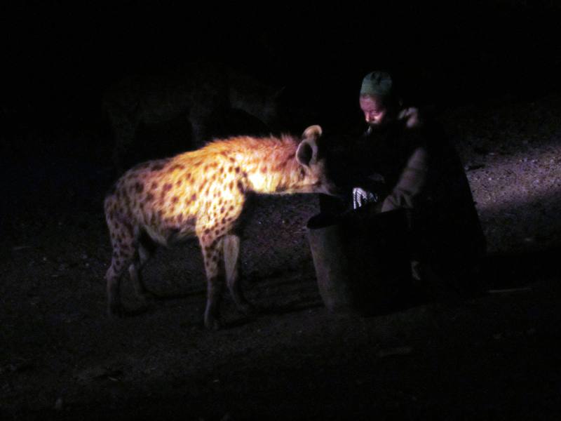 The Hyena Man, Harar, Ethiopia