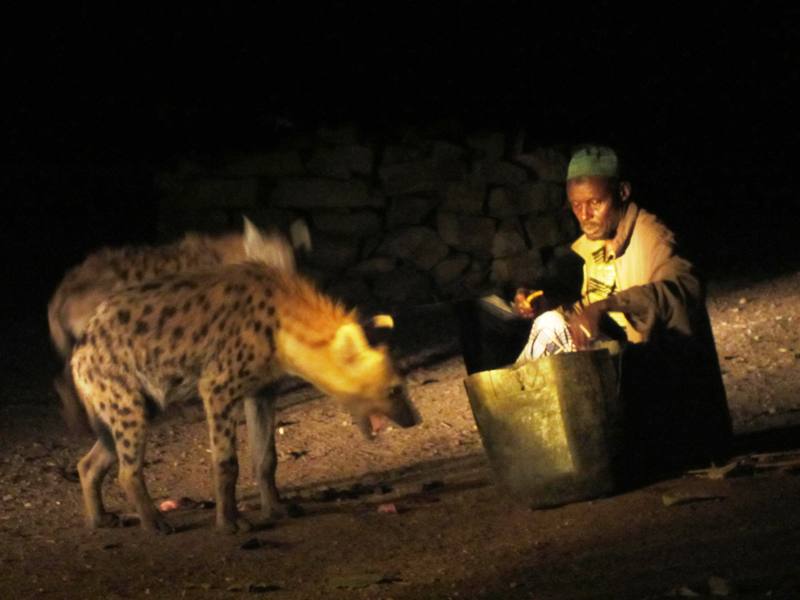 The Hyena Man, Harar, Ethiopia