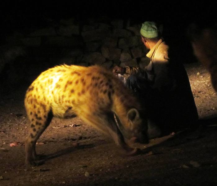 The Hyena Man, Harar, Ethiopia