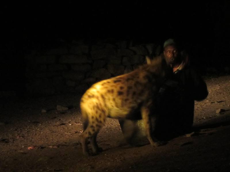 The Hyena Man, Harar, Ethiopia
