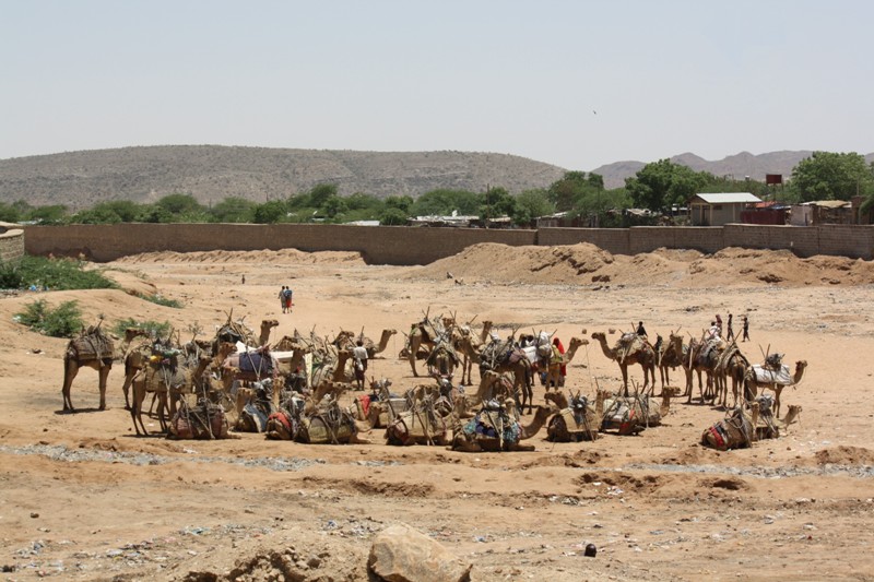 Negash Market, Ethiopia