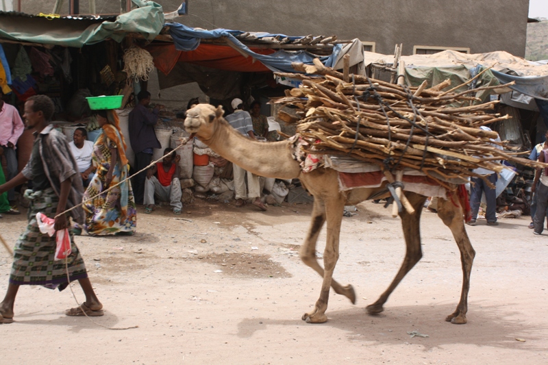 Dire Dawa Market, Ethiopia