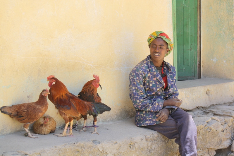 Negash Market, Ethiopia