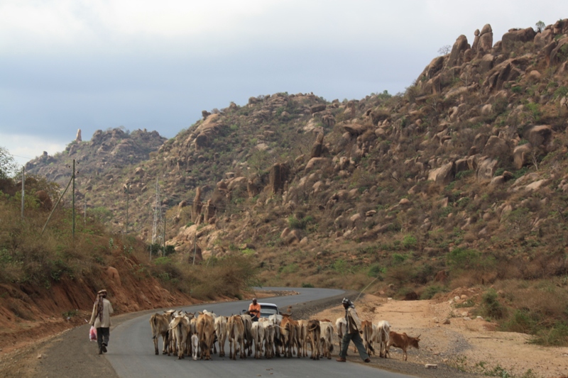 Valley of Marvels, Babille, Ethiopia
