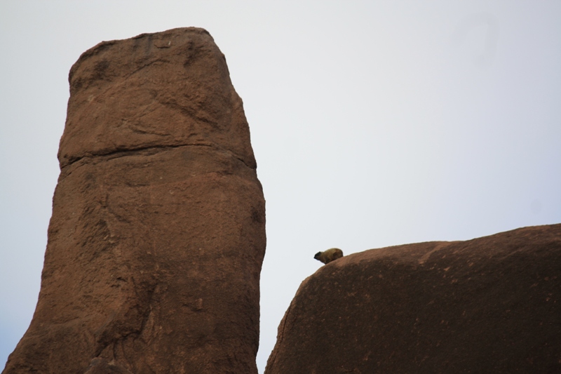 Valley of Marvels, Babille, Ethiopia