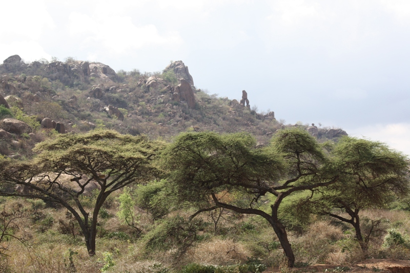 Valley of Marvels, Babille, Ethiopia