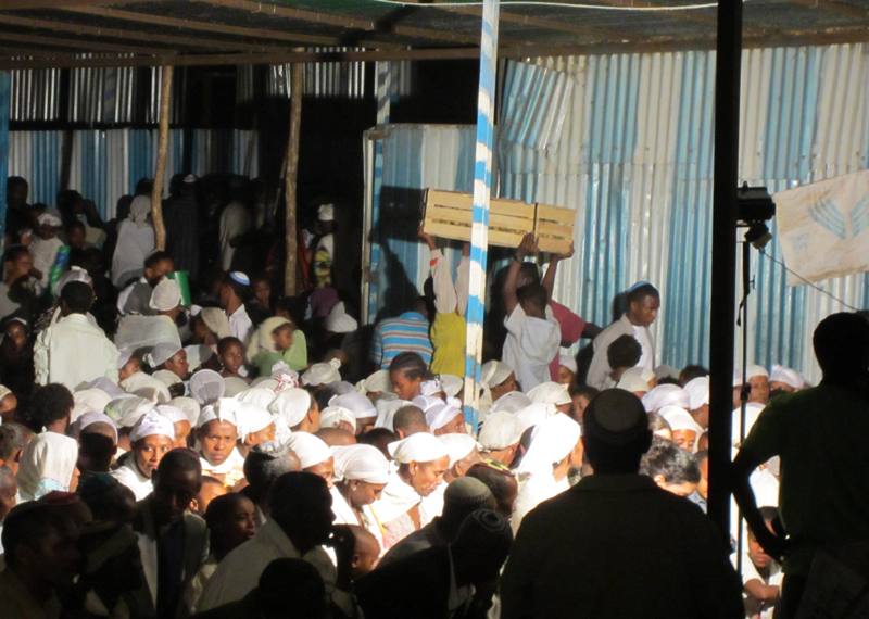 Green Vegetable, Passover, Jewish Community, Gonder, Ethiopia