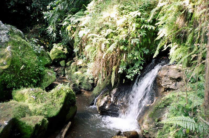 Goa Gajah, Bali, Indonesia