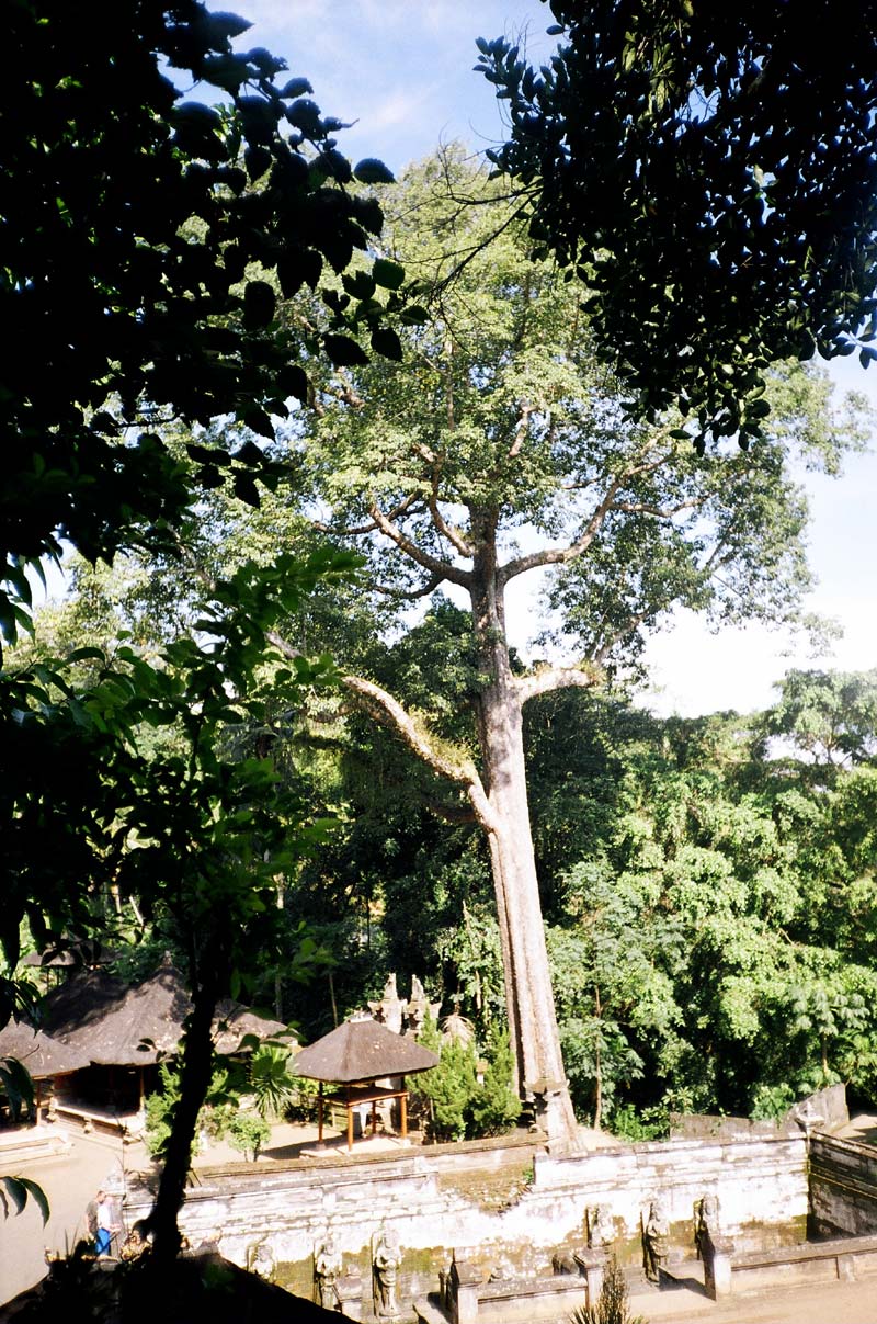 Goa Gajah, Bali, Indonesia