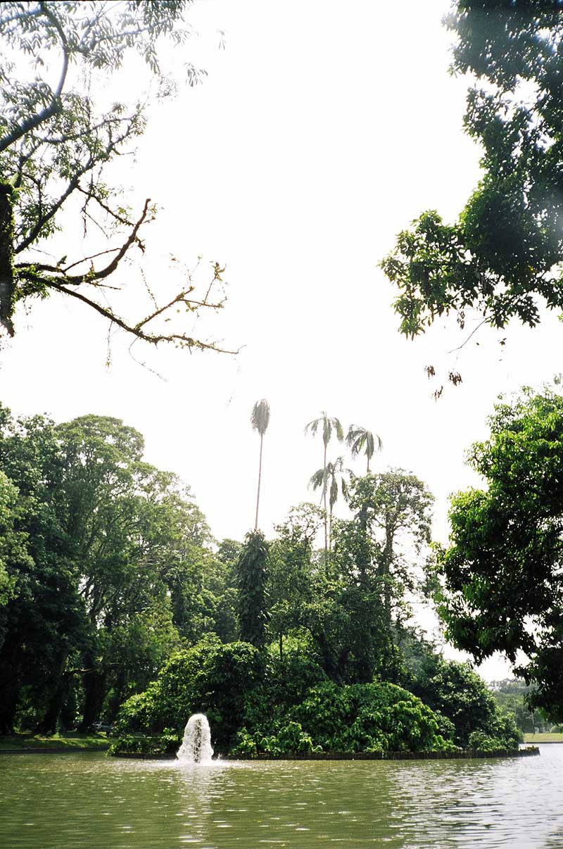 Botanical Gardens, Bogor, Indonesia