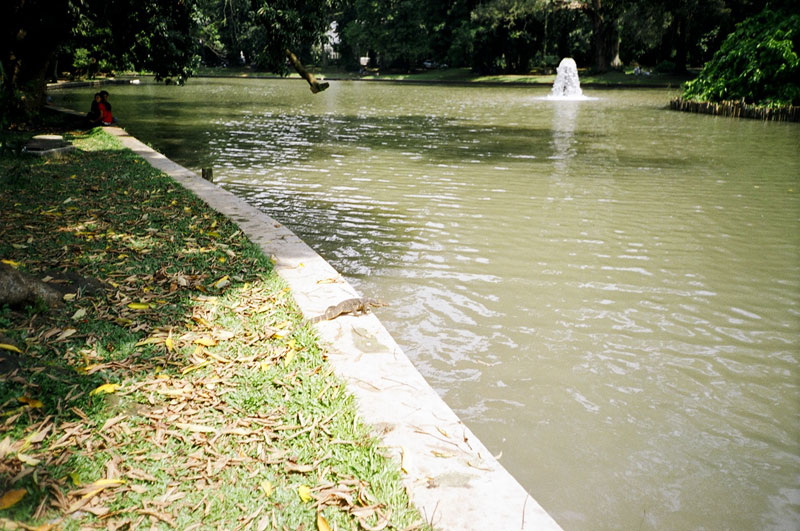 Botanical Gardens, Bogor, Indonesia