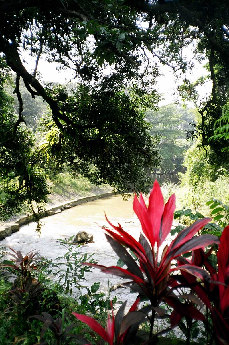 Botanical Gardens, Bogor, Indonesia