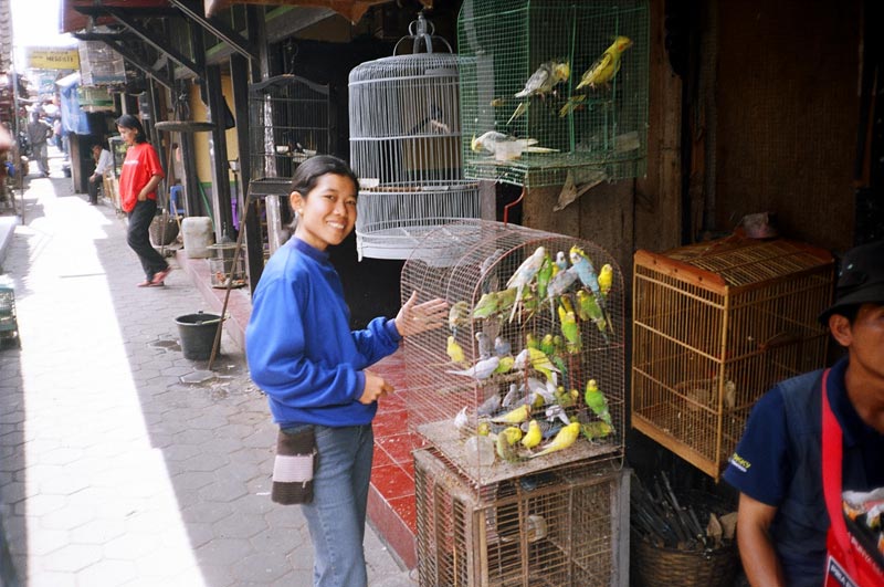  Pasar Ngasem, Yogyakarta, Indonesia