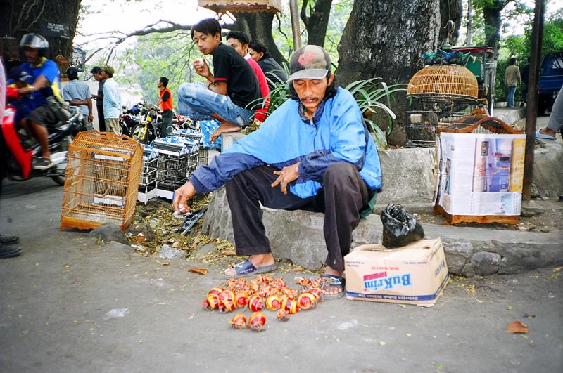 Malang, East Java, Indonesia