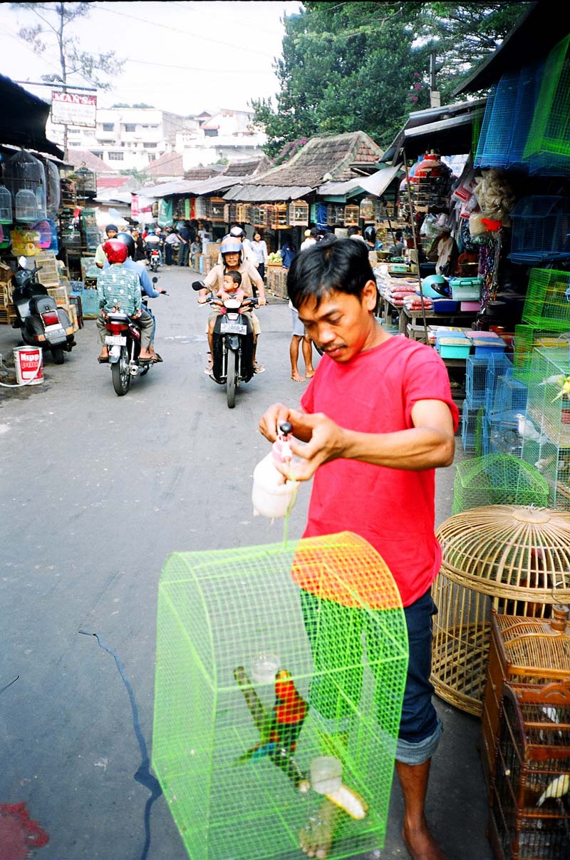  Malang, East Java, Indonesia