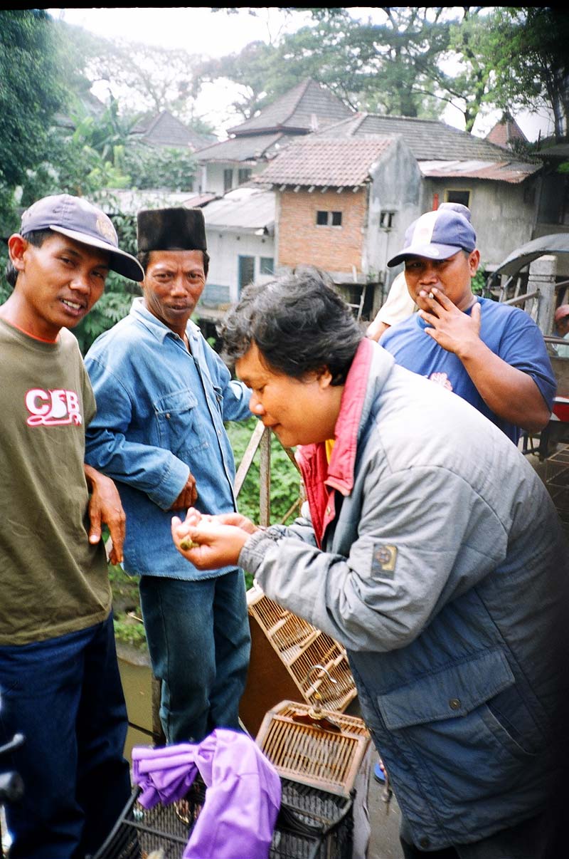  Bird Market, Malang, East Java, Indonesia