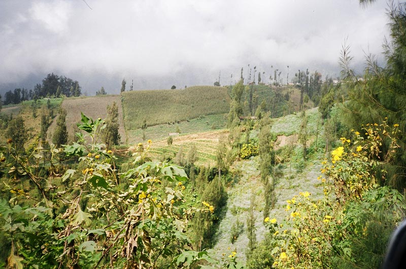 East Java, Indonesia